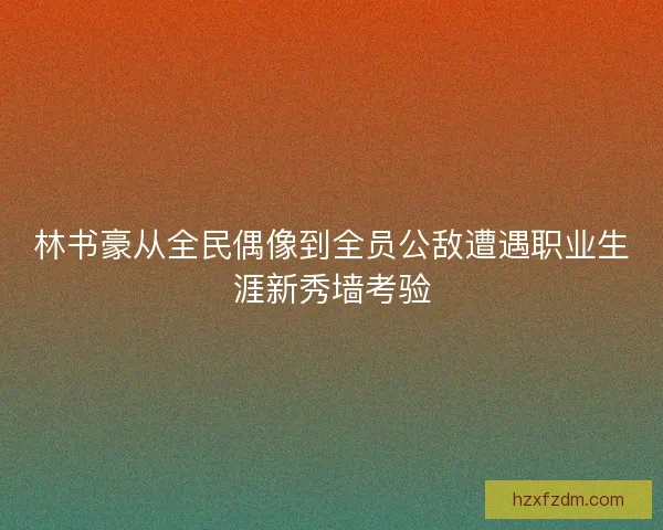 林书豪从全民偶像到全员公敌遭遇职业生涯新秀墙考验